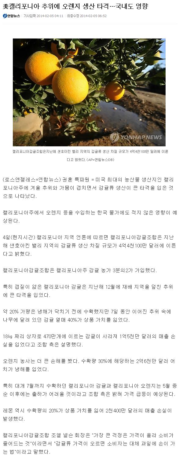 美캘리포니아 추위에 오렌지 생산타격...국내도 영향