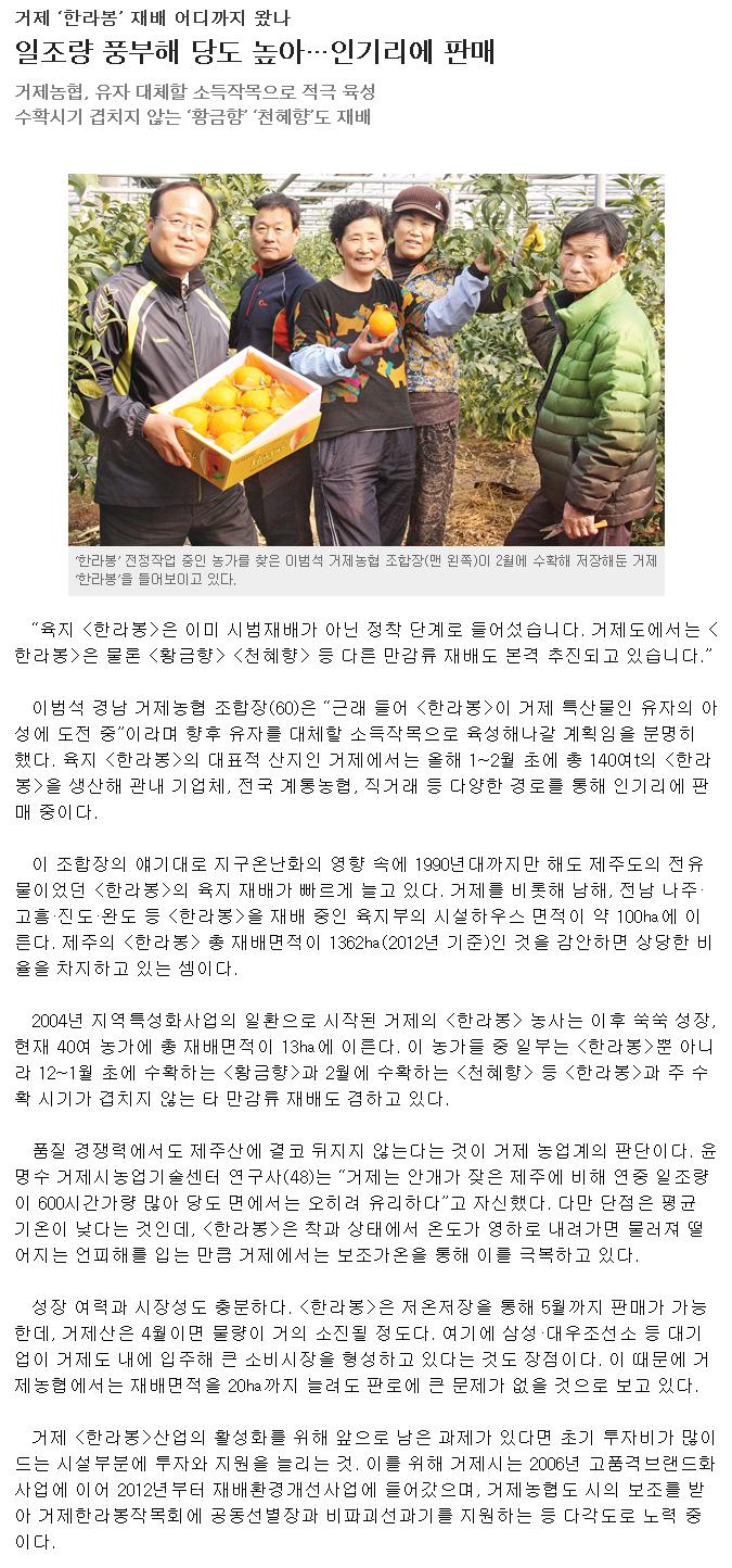 거제 '한라봉' 재배 어디까지 왔나..