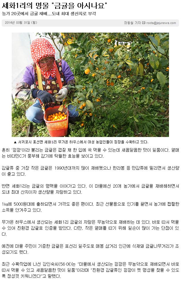 세화1리의 명물 