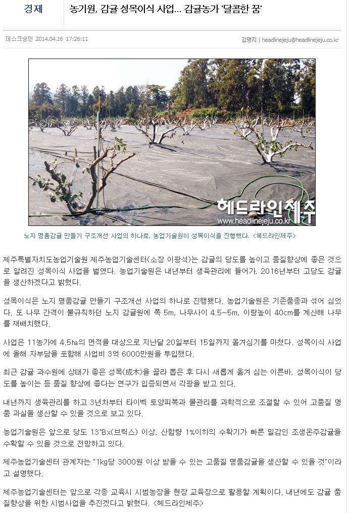 농기원, 감귤 성목이식 사업....감귤농가 '달콤한 꿈'