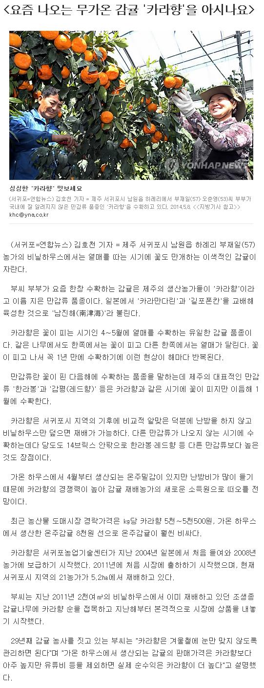 요즘 나오는 무가온 감귤 '카라향'을 아시나요