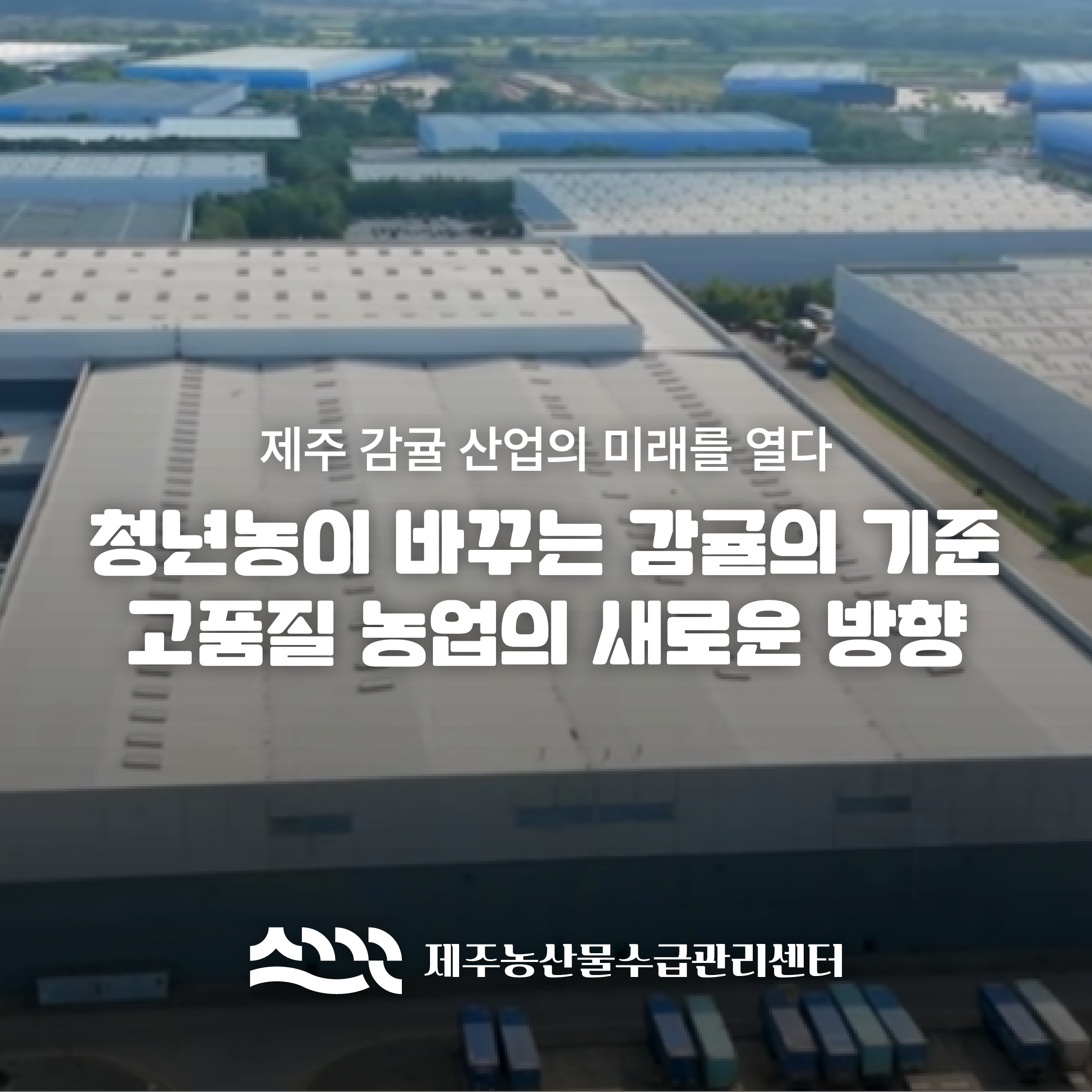 [김덕문 명인]청년농이 바꾸는 감귤의 기준 고품질 농업의 새로운 방향