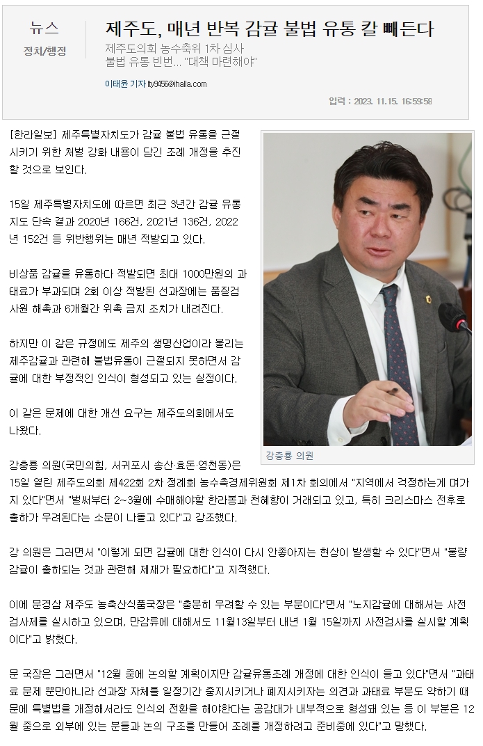 제주도, 매년 반복 감귤 불법 유통 칼 빼든다