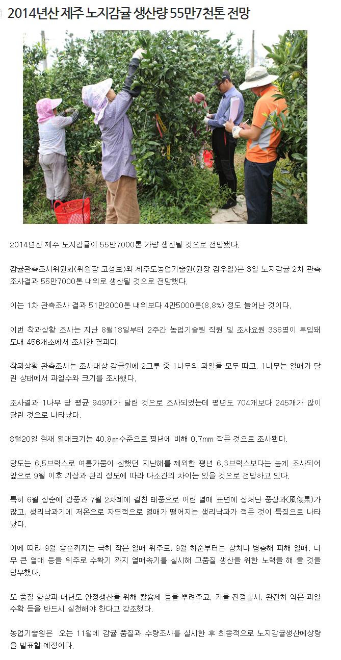 2014년산 노지감귤 생산량 55만7천톤 전망