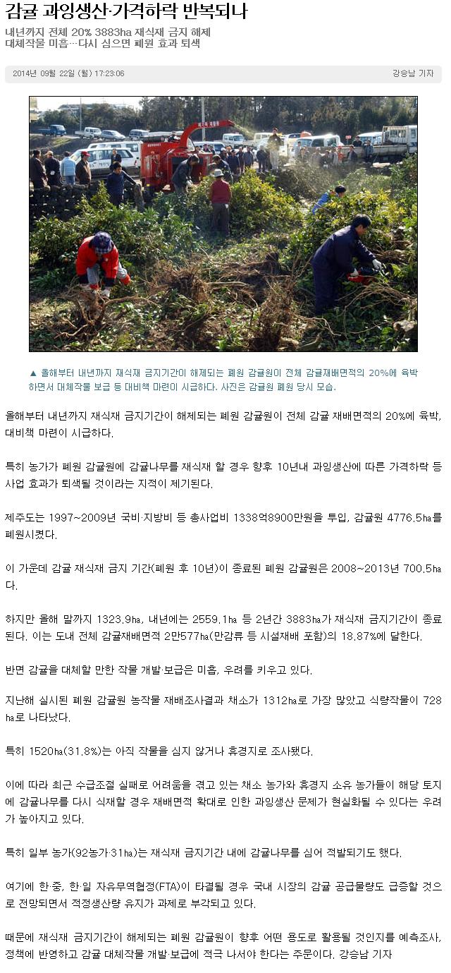 감귤 과일생산,가격하락 반복되나