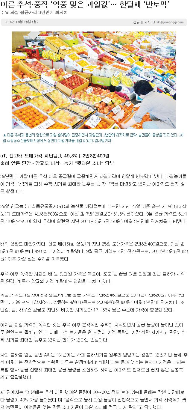 이른 추석·풍작 '역풍 맞은 과일값'...한달새 '반토막'