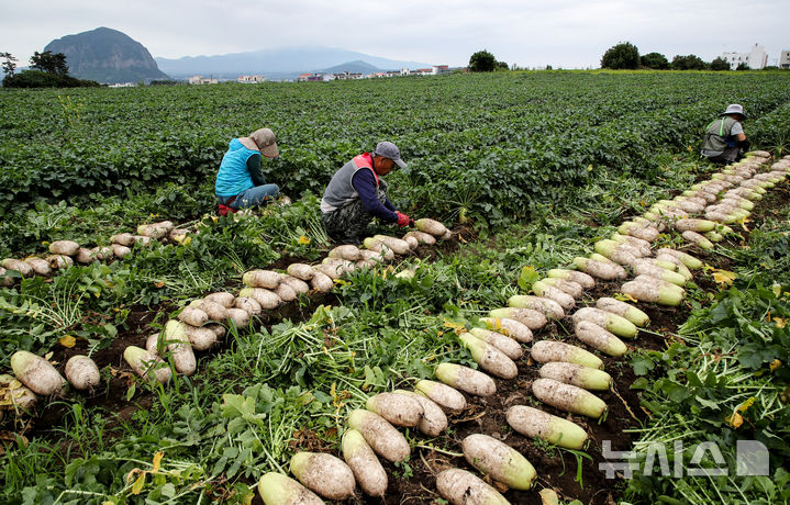 [관련사진] 뉴시스 #1.jpg