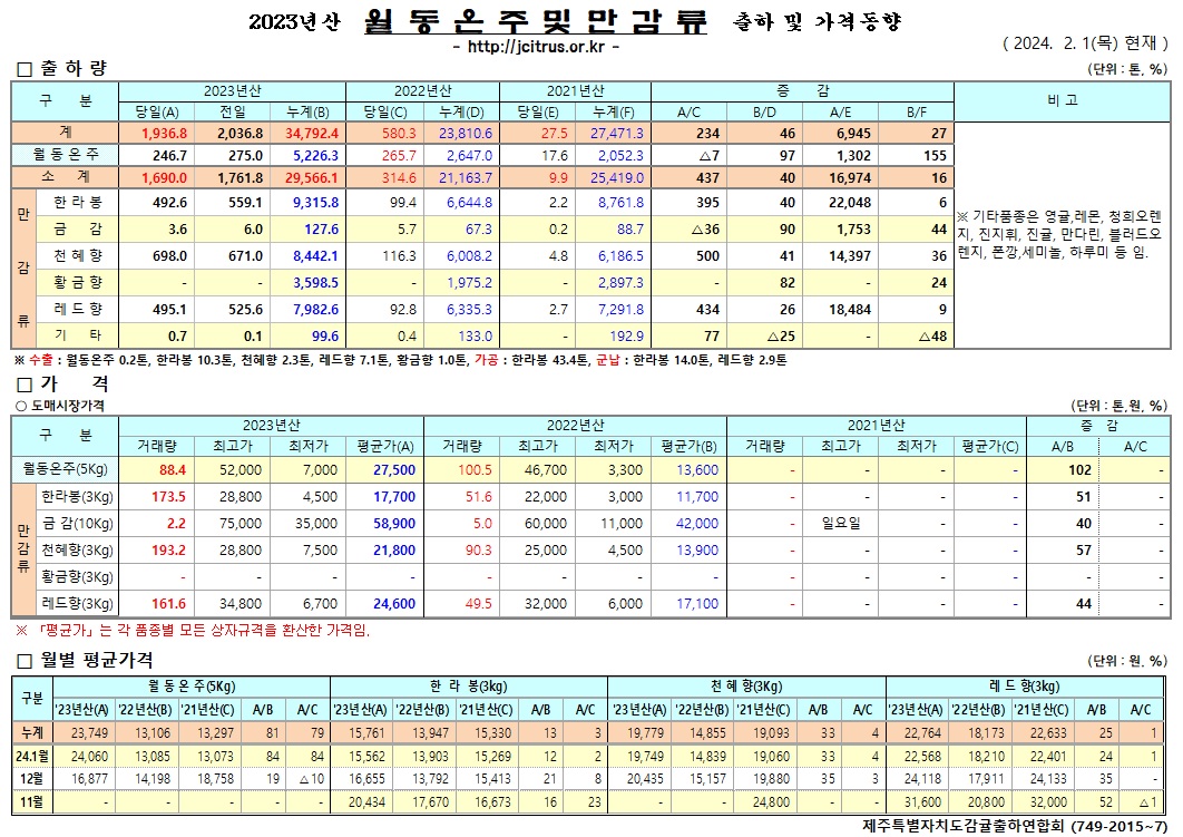 [월동&만감]2023년산 출하 및 가격동향(2/1)