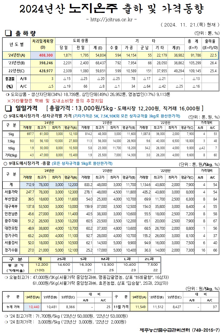 [노지온주]2024년산 출하 및 가격동향(11/21)