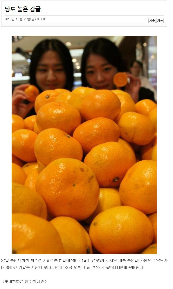 당도 높은 감귤(롯데백화점)