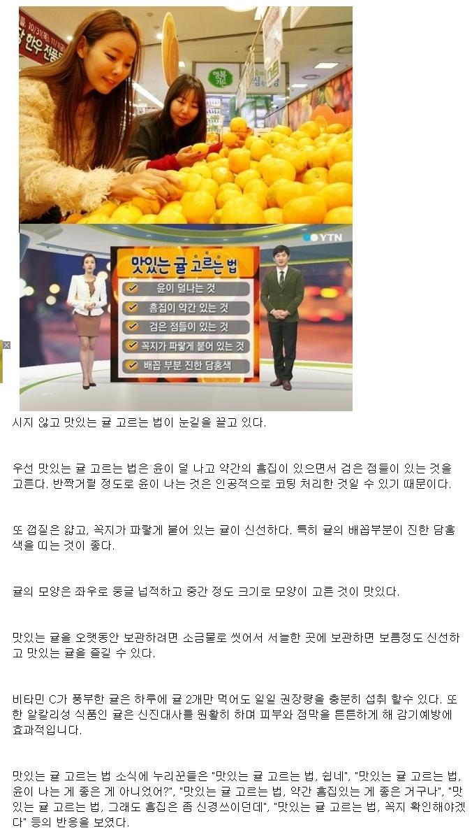 맛있는 귤 고르는 법…흠집 있어야 맛있는 귤, 이유보니 `깜짝`
