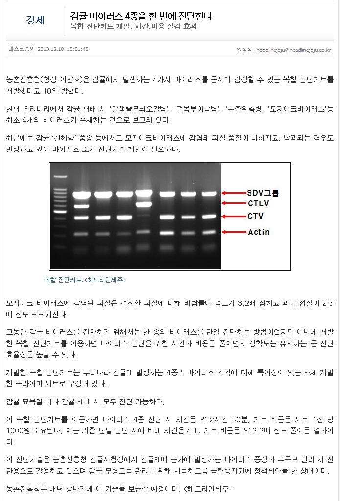 감귤바이러스 4종을 한번에 진단한다
