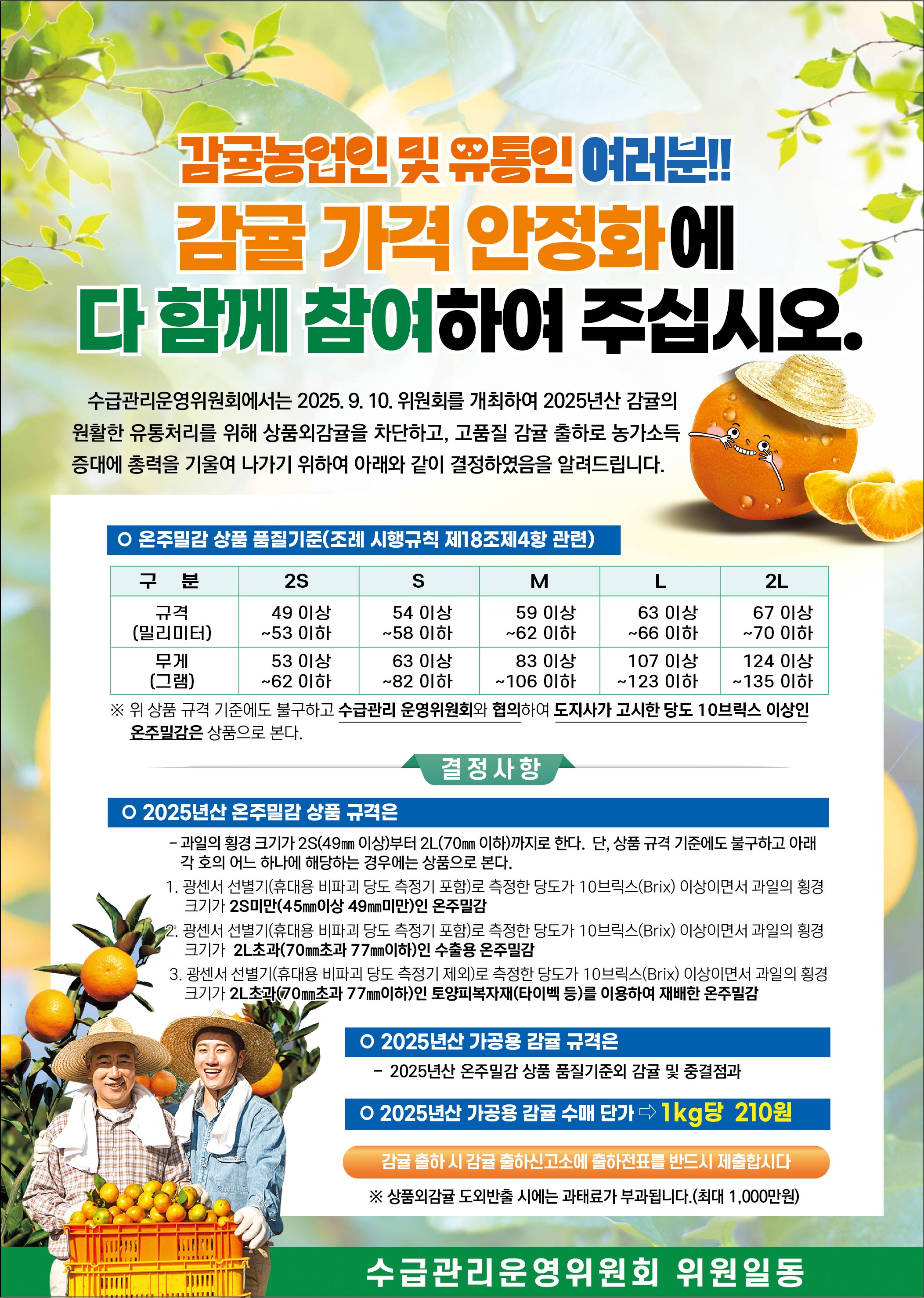 2025년 상품 및 가공용 감귤 규격 및 기준(수급관리운영위원회 결정)