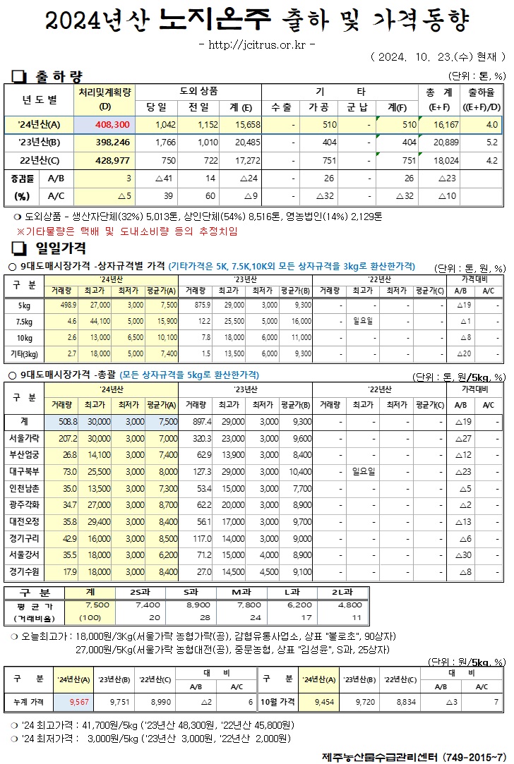 [노지온주]2024년산 출하 및 가격동향(10/23)