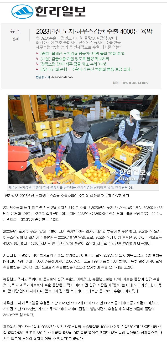 2023년산 노지·하우스감귤 수출 4000톤 육박