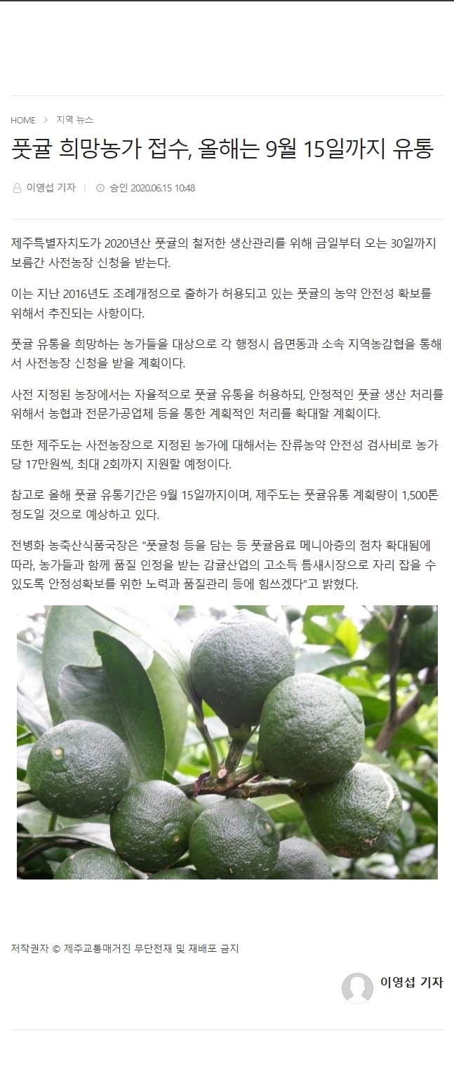 풋귤 희망농가 접수, 올해는 9월15일까지 유통