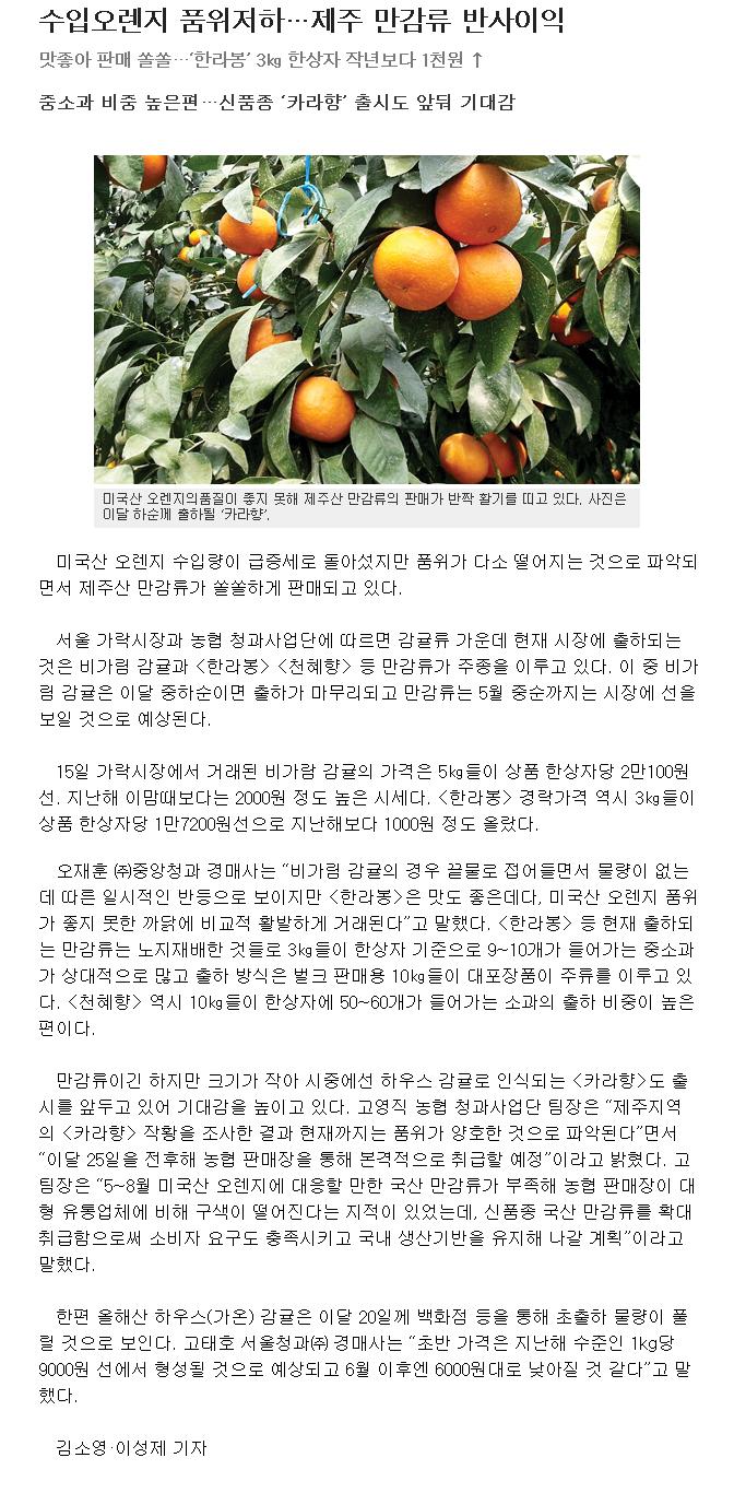 수입오렌지 품위저하....제주 만감류 반사이익