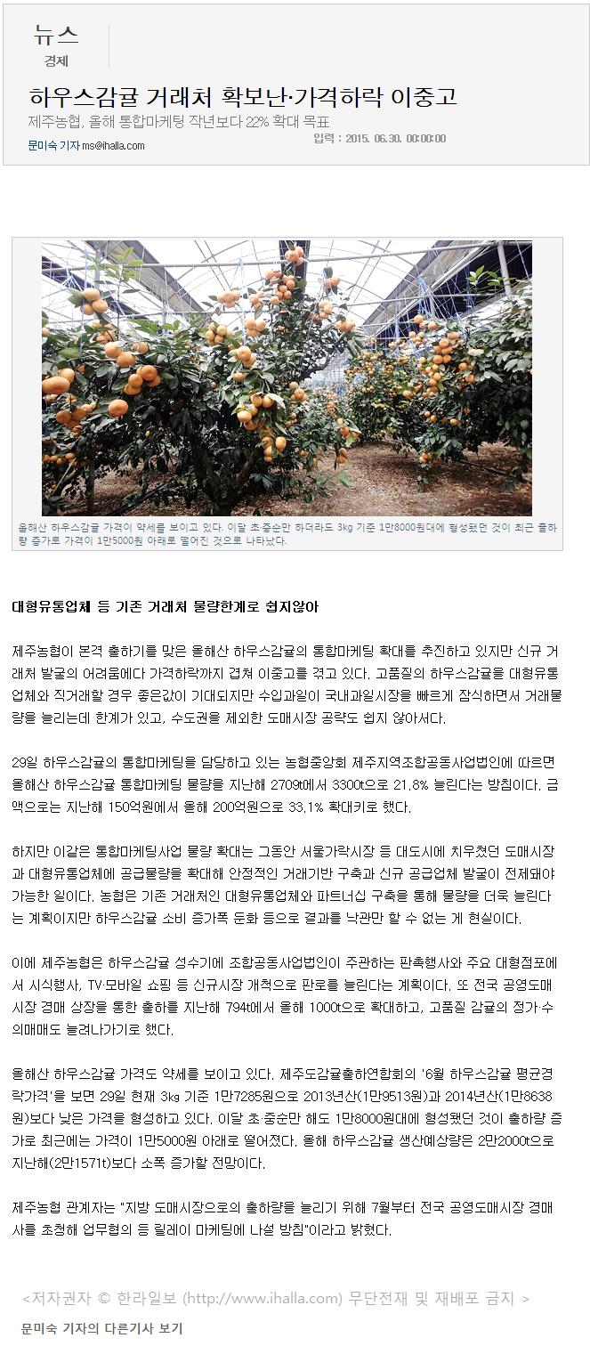 하우스감귤 거래처 확보난,가격하락 이중고