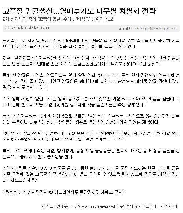 고품질 감귤생산...열매솎기도 나무별 차별화 전략