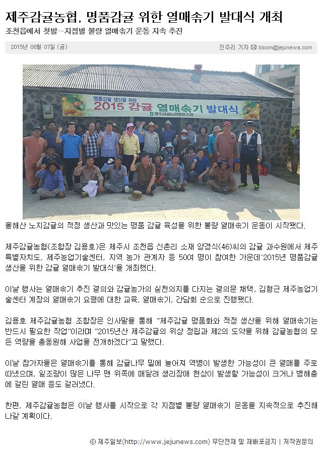 제주감귤농협,명품감귤 위한 열매솎기 발대식 개최