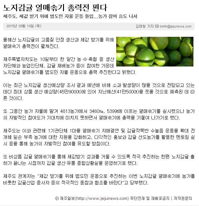 노지감귤 열매솎기 총력전 편다