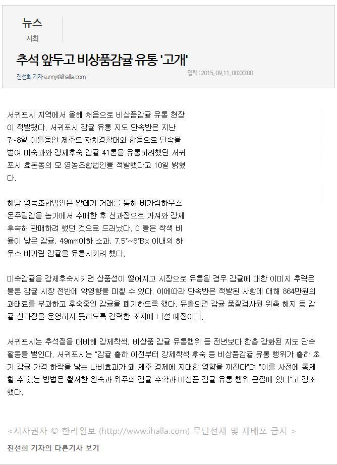 추석 앞두고 비상품감귤 유통