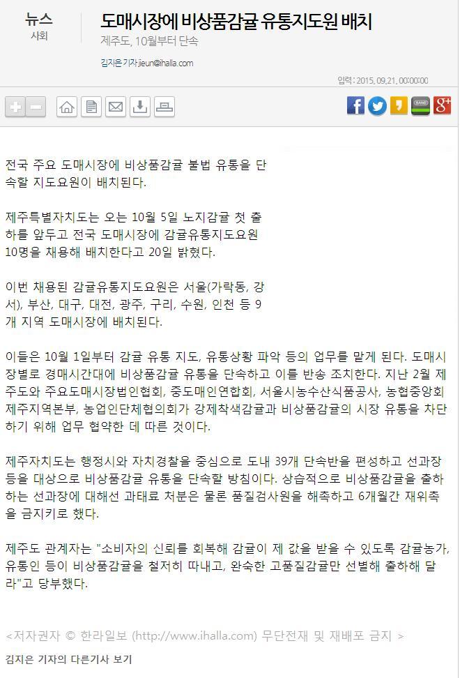 도매시장에 비상품감귤 유통지도원배치