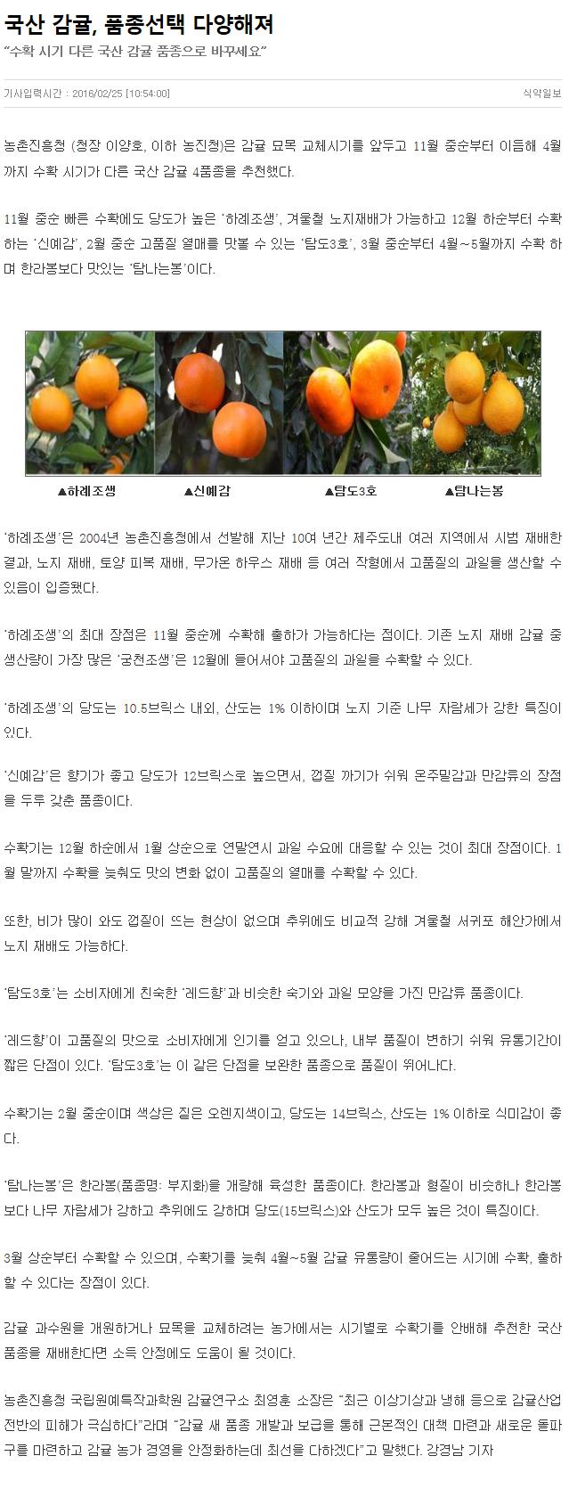 국산감귤, 품종선택 다양해져