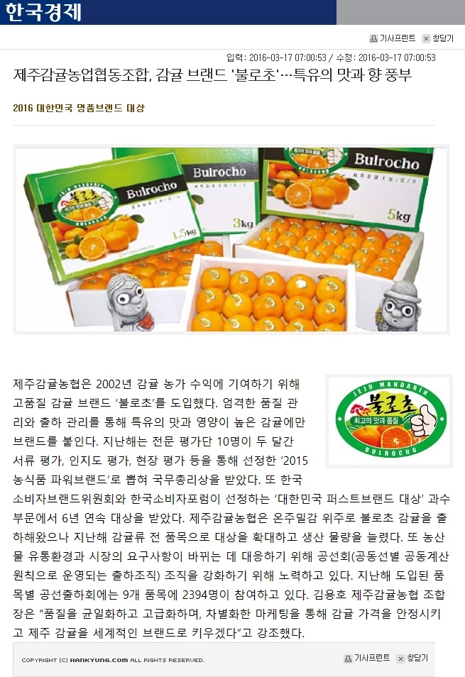 제주감귤농협,감귤브랜드'불로초'특유의 맛과 향 풍부