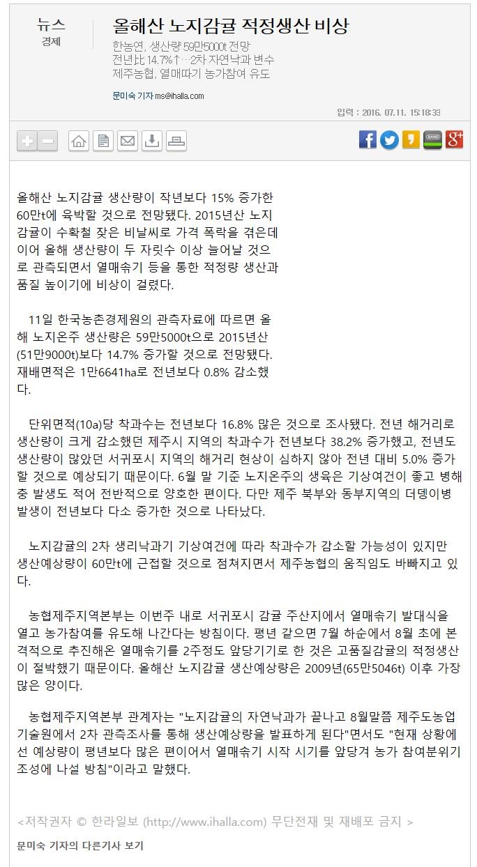 올해산 노지감귤 적정생산비상