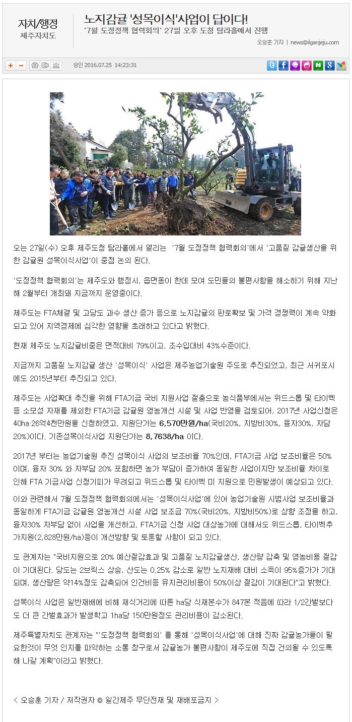 노지감귤 '성목이식'사업이 답니다!