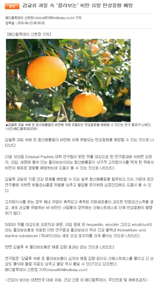 감귤류 과일 속 '플라보논' 비만 유발 만성질환 예방