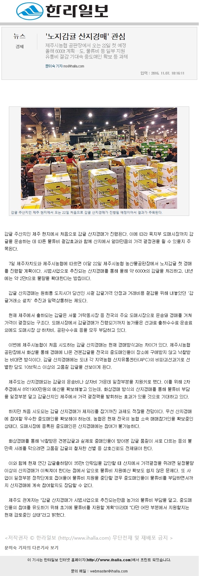 노지감귤 산지경매 관심