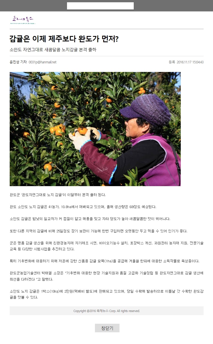 감귤은  이제 제주보다 완도가 먼저?