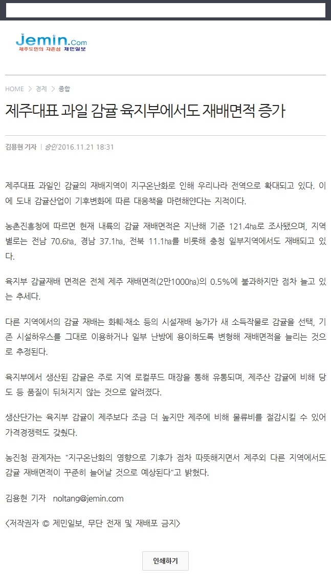제주대표 과일 감귤 육지부에서도 재배면적 증가