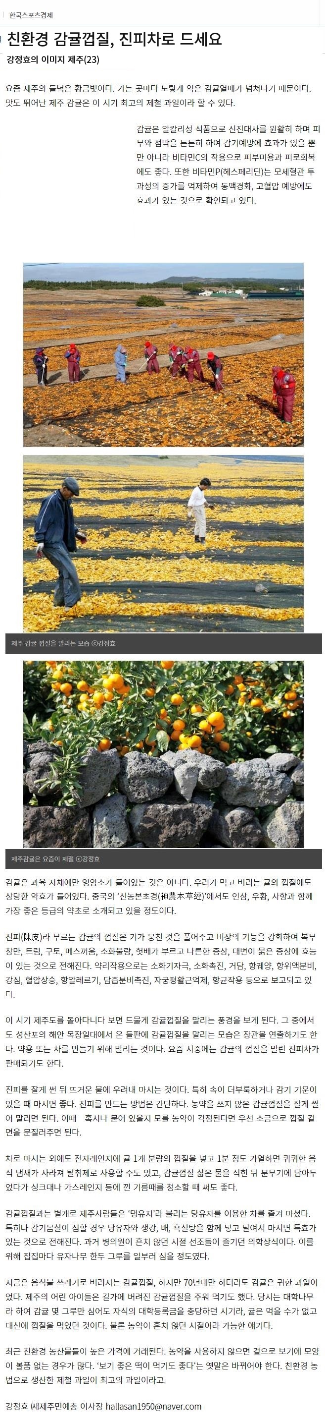 친환경 감귤껍질, 진피차로 드세요