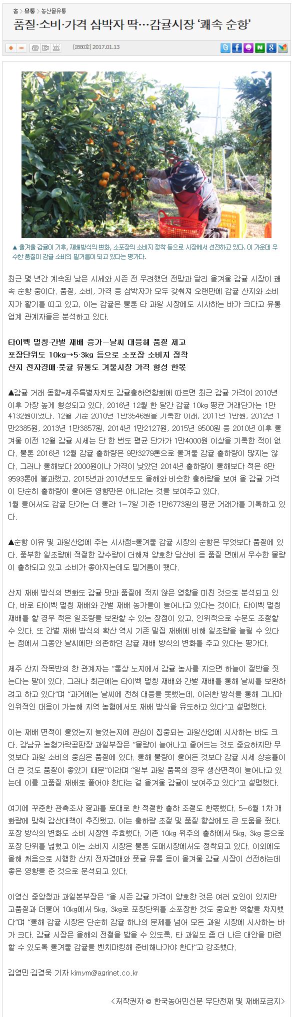 품질,소비.가격 삼박자 딱...감귤시장