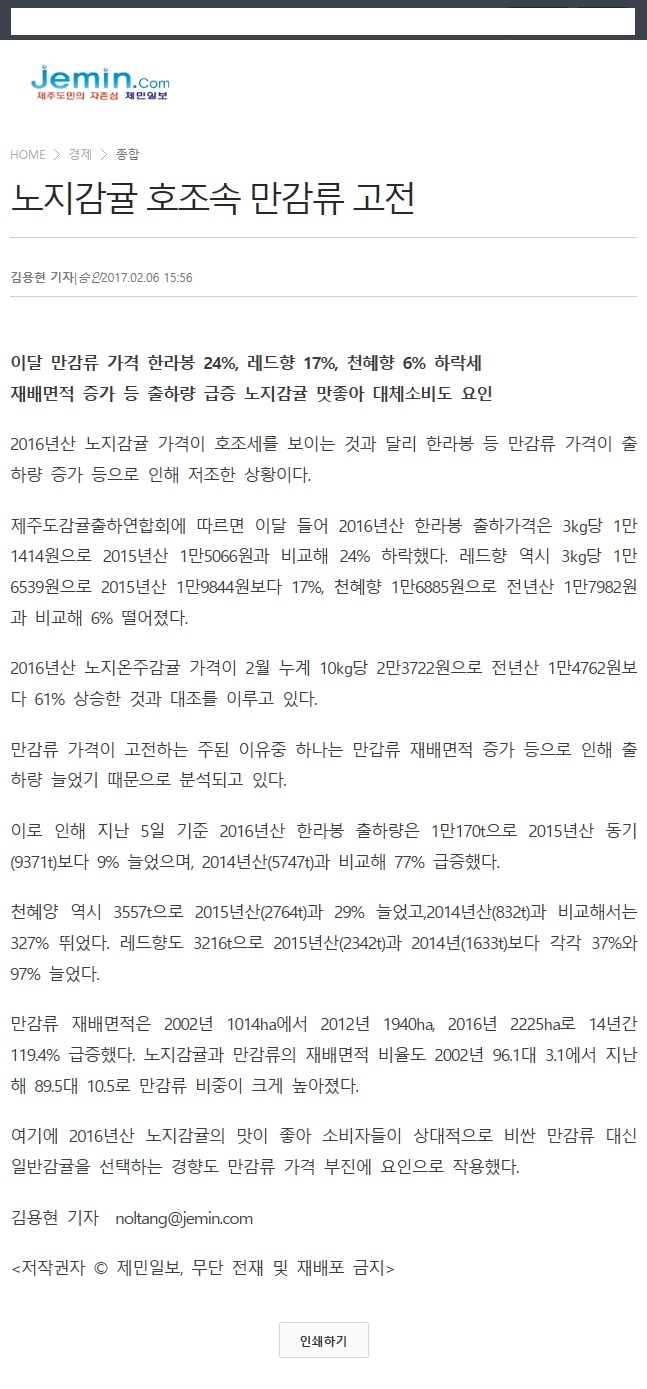 노지감귤 호조속 만감류 고전