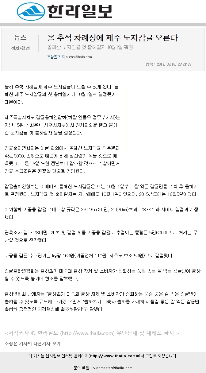 올추석차례상에 제주 노지감귤 오른다.