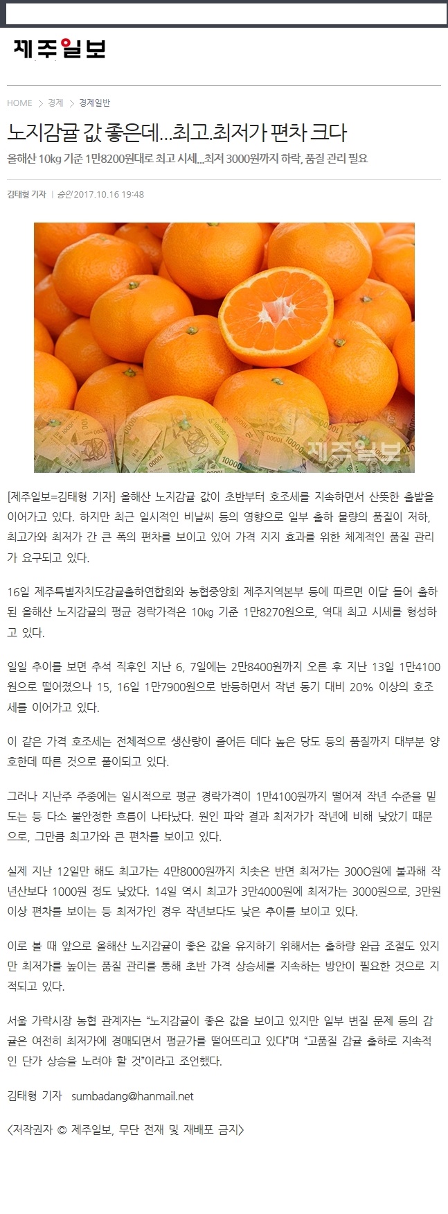 노지감귤 값 좋은데.. 최고,최저가 편차 크다