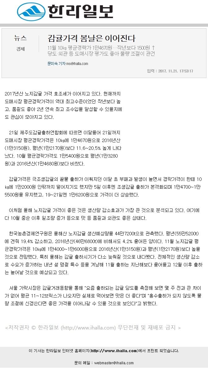 감귤가격 봄날은 이어진다