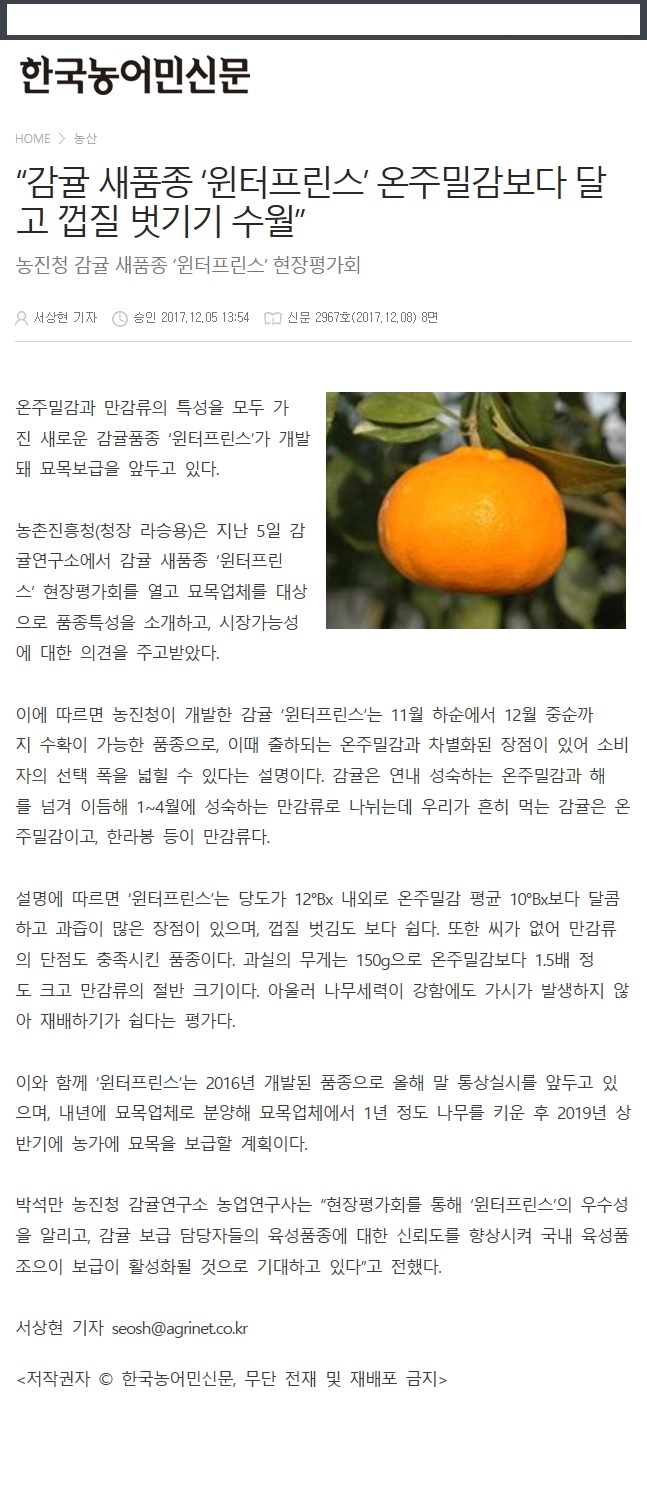 감귤 새품종'원터프린스'온주밀감보다 달고 껍질벗기기 수월