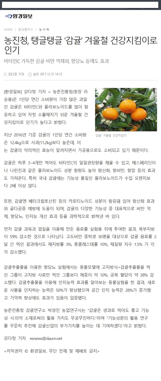 농진청, 탱글탱글'감귤' 겨울철 건강지킴이로 인기
