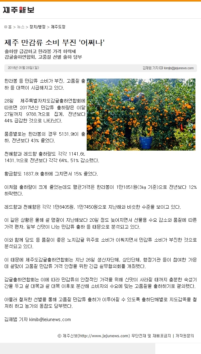 제주 만감류 소비 부진 '어쩌나'