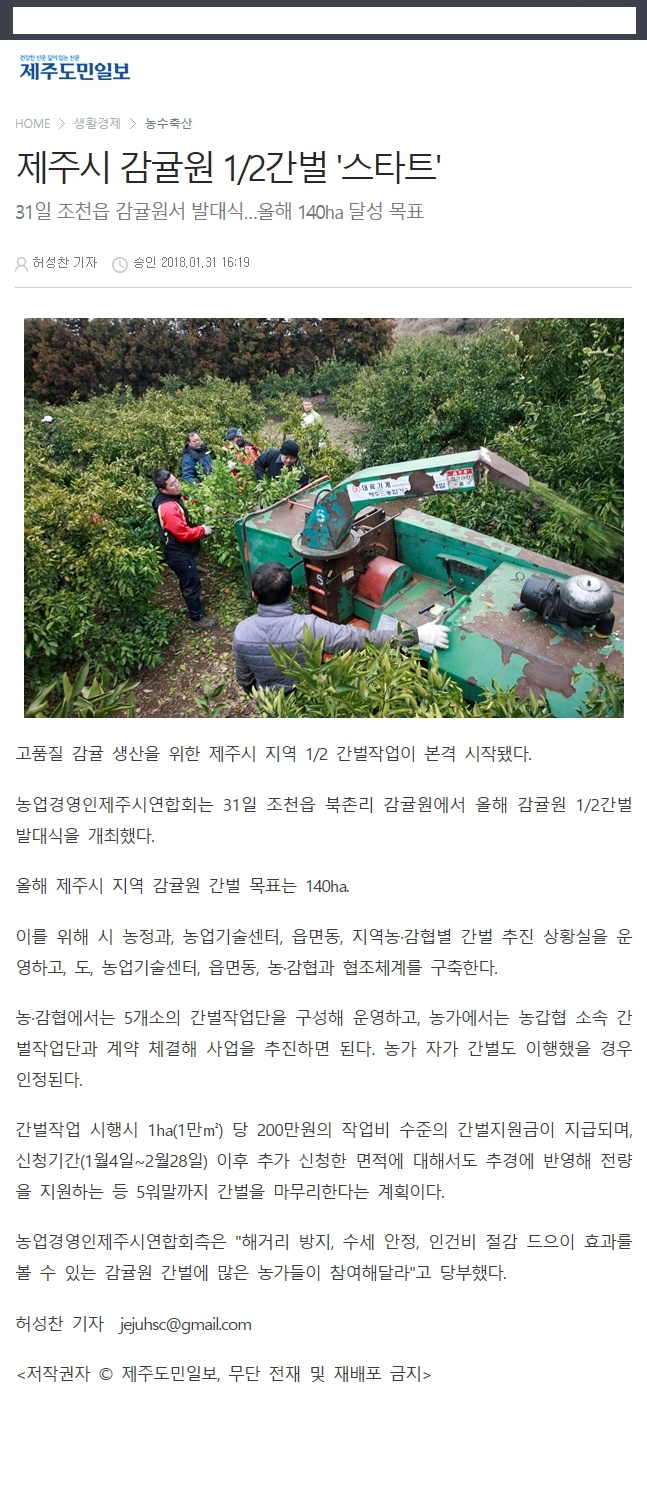 제주시 감귤원 1/2간벌 '스타트'