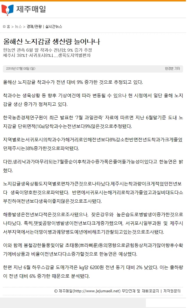 올해산 노지감귤 생산량 늘어나나