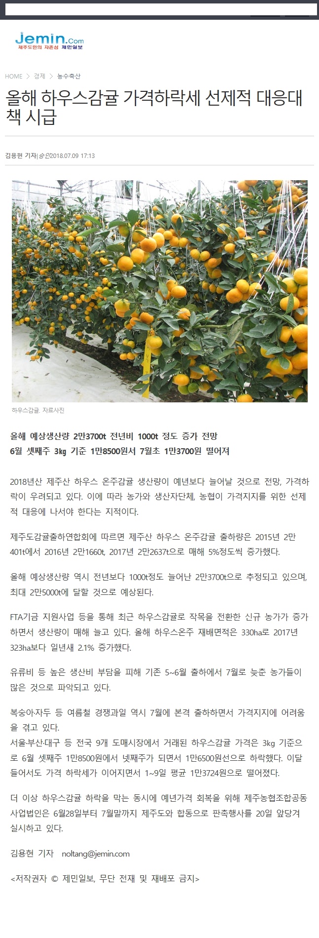올해 하우스감귤 가격하락세 선제적 대응대책 시급
