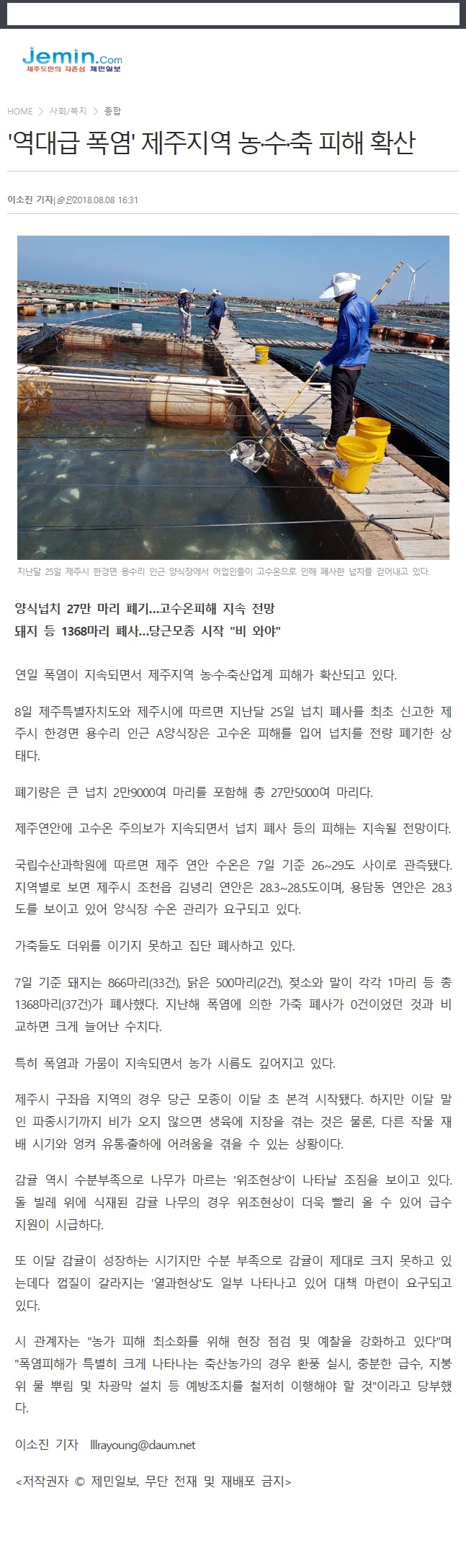 '역대급 폭염' 제주지역 농수축 피해 확산