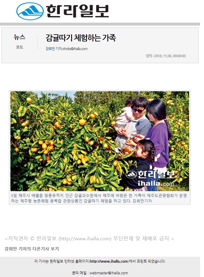 감귤따기 체험하는 가족