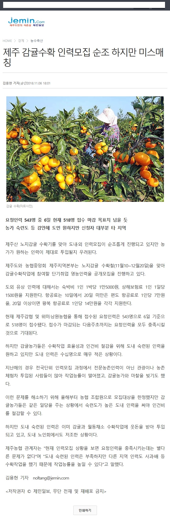 제주감귤수확 인력모집 순조..